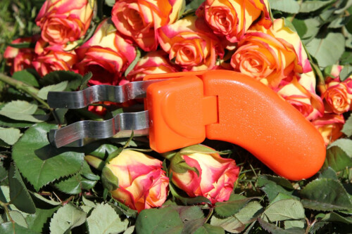 Rose Stem Leaf Thorn Stripper Stripping Tool Thorn Remove Garden Pruning  Shears