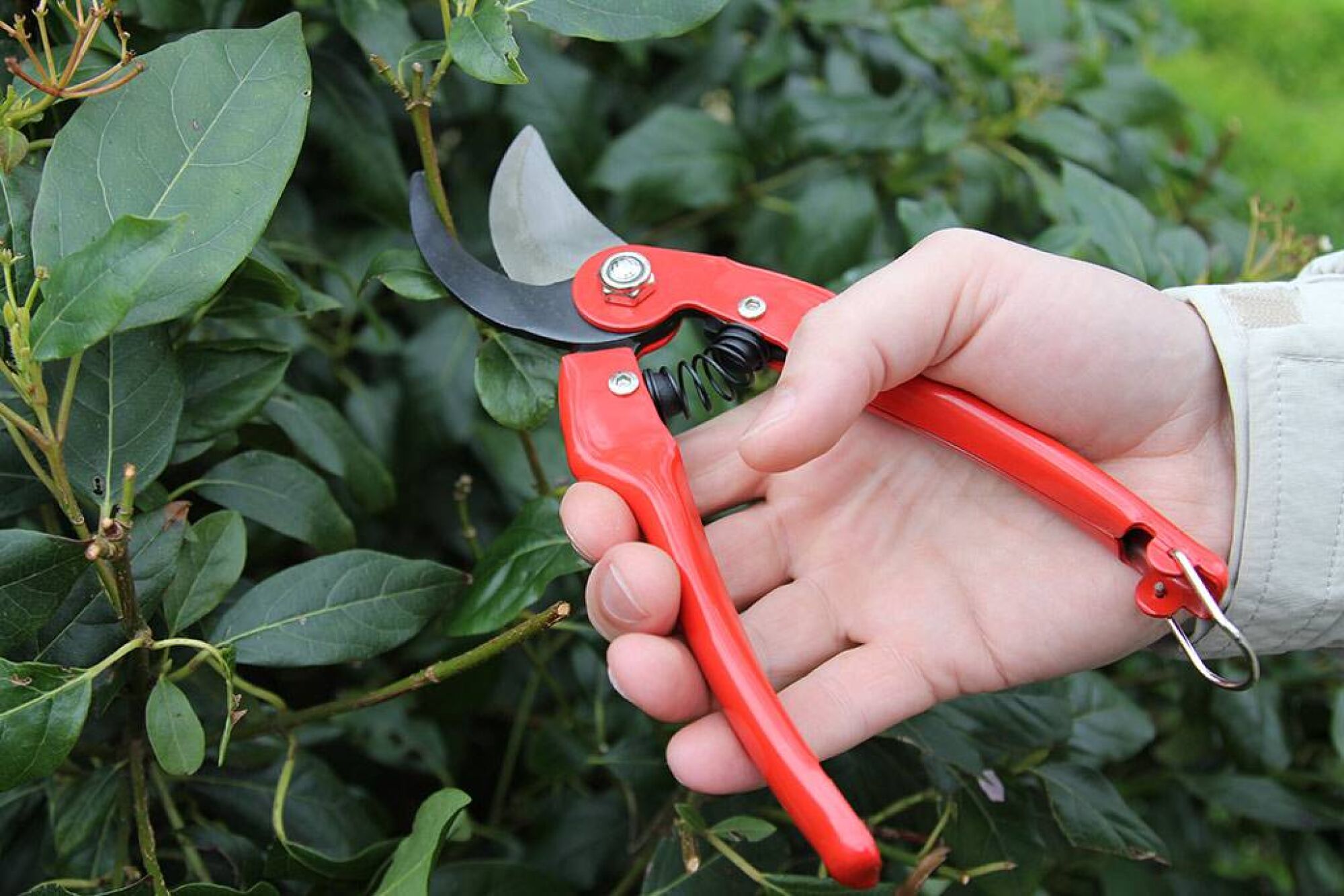 K-0900 - Pruning shears - Keizerskroon Metallo