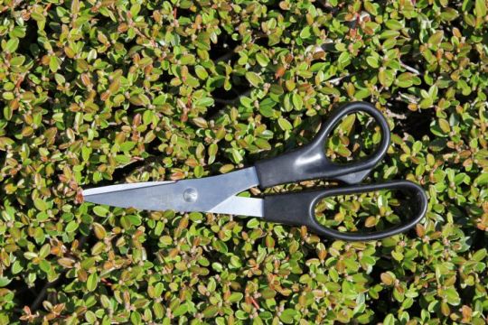 Handicraft scissors