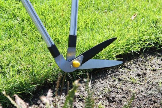 Grass shears